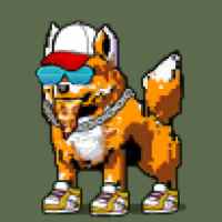 DogePunks #1052