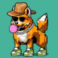 DogePunks #360