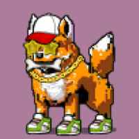 DogePunks #3503