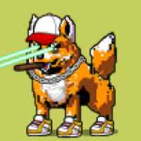 DogePunks #1074