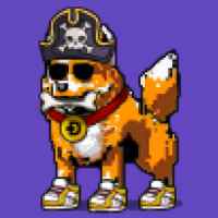 DogePunks #3640