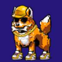 DogePunks #2222