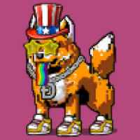 DogePunks #1777