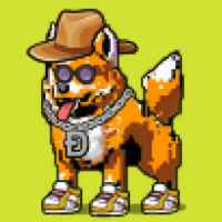 DogePunks #1760