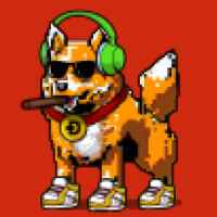 DogePunks #2976