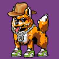 DogePunks #1370