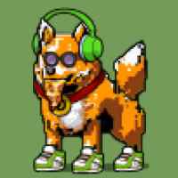DogePunks #1016
