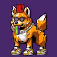 DogePunks #2118