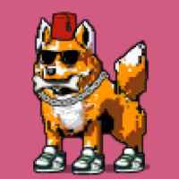 DogePunks #708