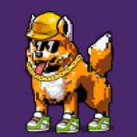 DogePunks #4
