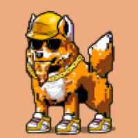 DogePunks #3704