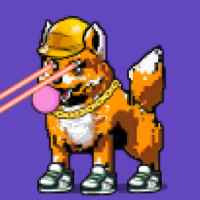 DogePunks #973
