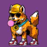 DogePunks #1671