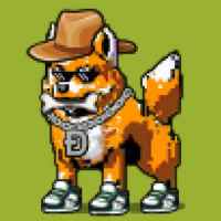 DogePunks #4027