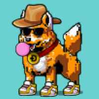 DogePunks #4473