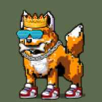 DogePunks #1722
