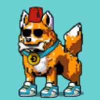DogePunks #3562