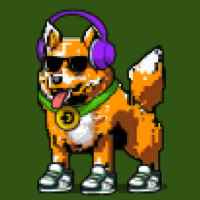 DogePunks #1707