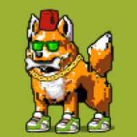 DogePunks #4820