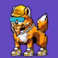 DogePunks #1912