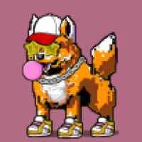 DogePunks #1802