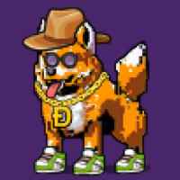 DogePunks #2843