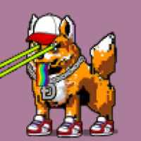 DogePunks #616