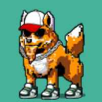 DogePunks #1371