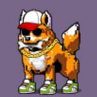 DogePunks #2552