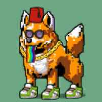 DogePunks #2494