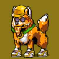 DogePunks #653