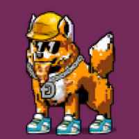DogePunks #1202