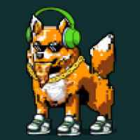 DogePunks #537
