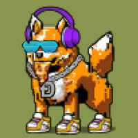 DogePunks #3527
