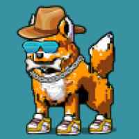 DogePunks #1411