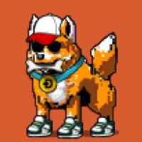 DogePunks #2418
