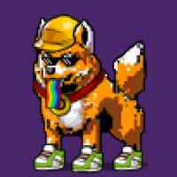 DogePunks #2339
