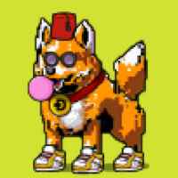 DogePunks #3284