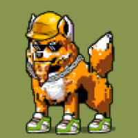 DogePunks #1075