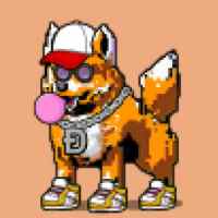 DogePunks #4419