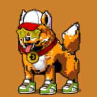 DogePunks #2426