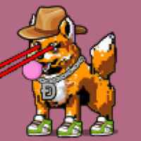 DogePunks #4088