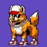 DogePunks #1025