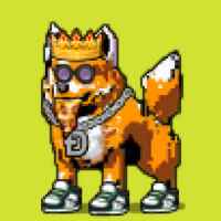 DogePunks #4705