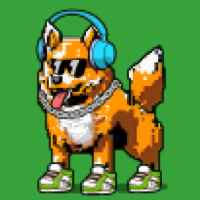 DogePunks #3381