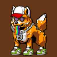 DogePunks #1062