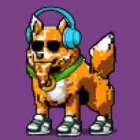 DogePunks #3563