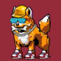 DogePunks #4784