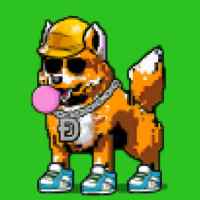DogePunks #4082
