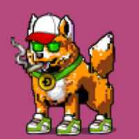 DogePunks #1935